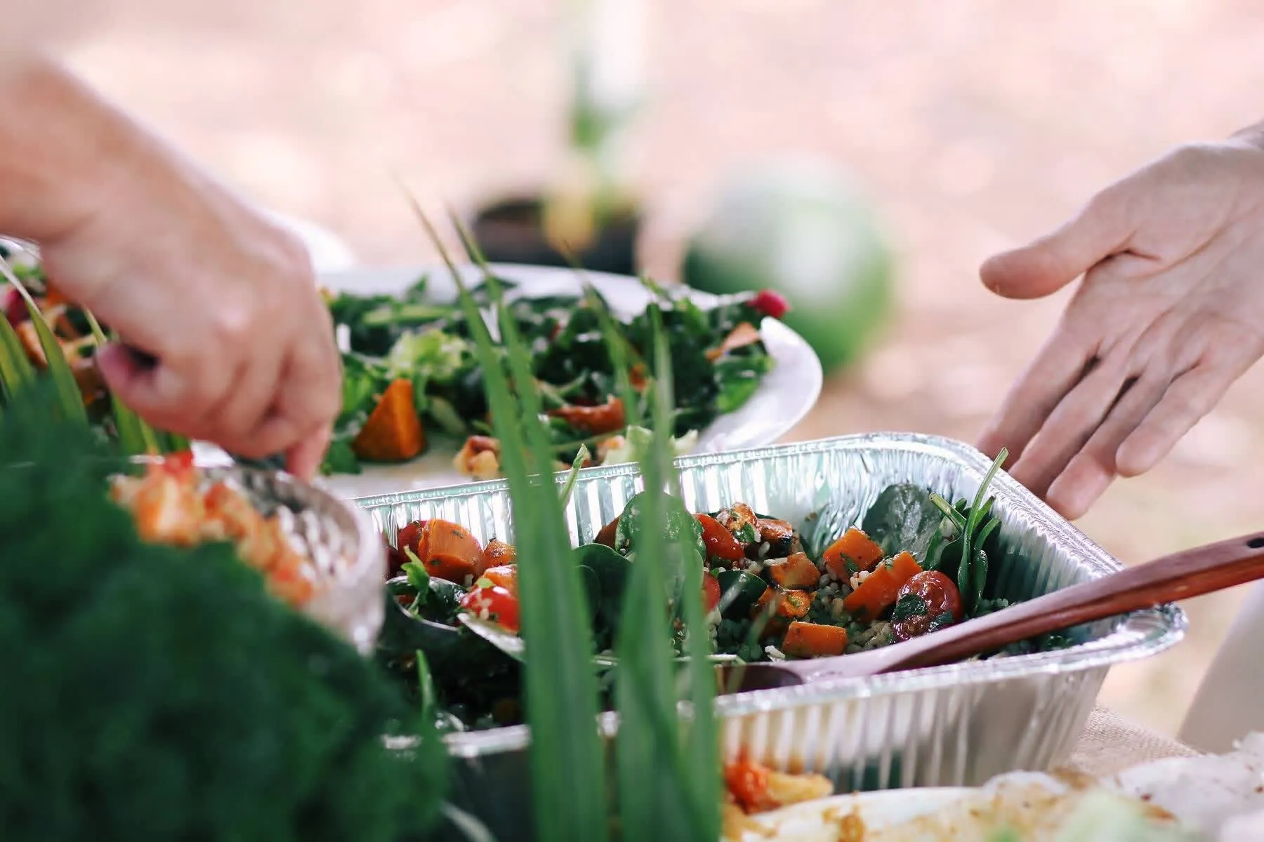 A shared spread of food at a Palmwoods gathering